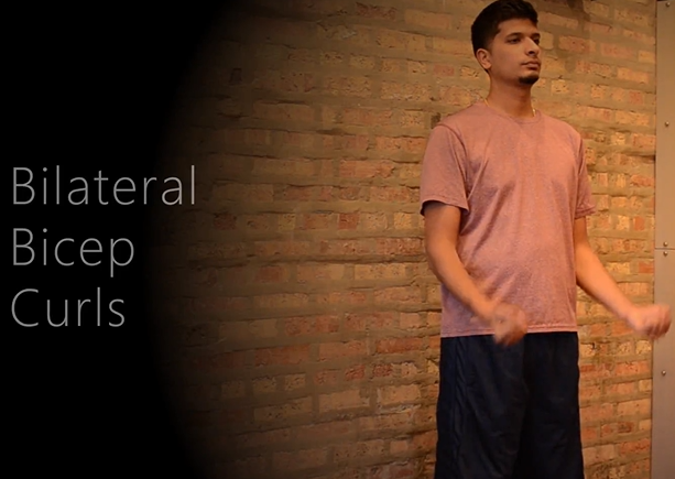 Bilateral Bicep Curls